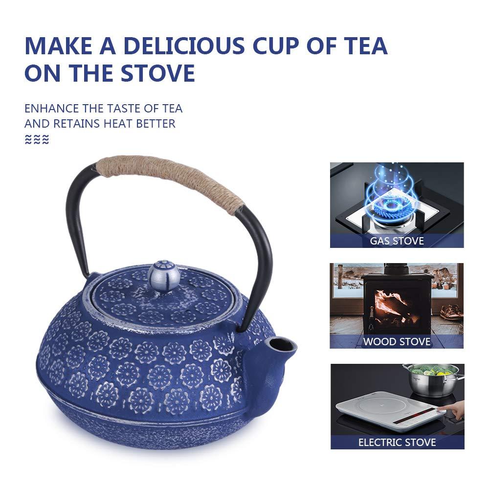 Darby Home Co Blue Floral Japanese Cast Iron Teapot Set with 4 Cups