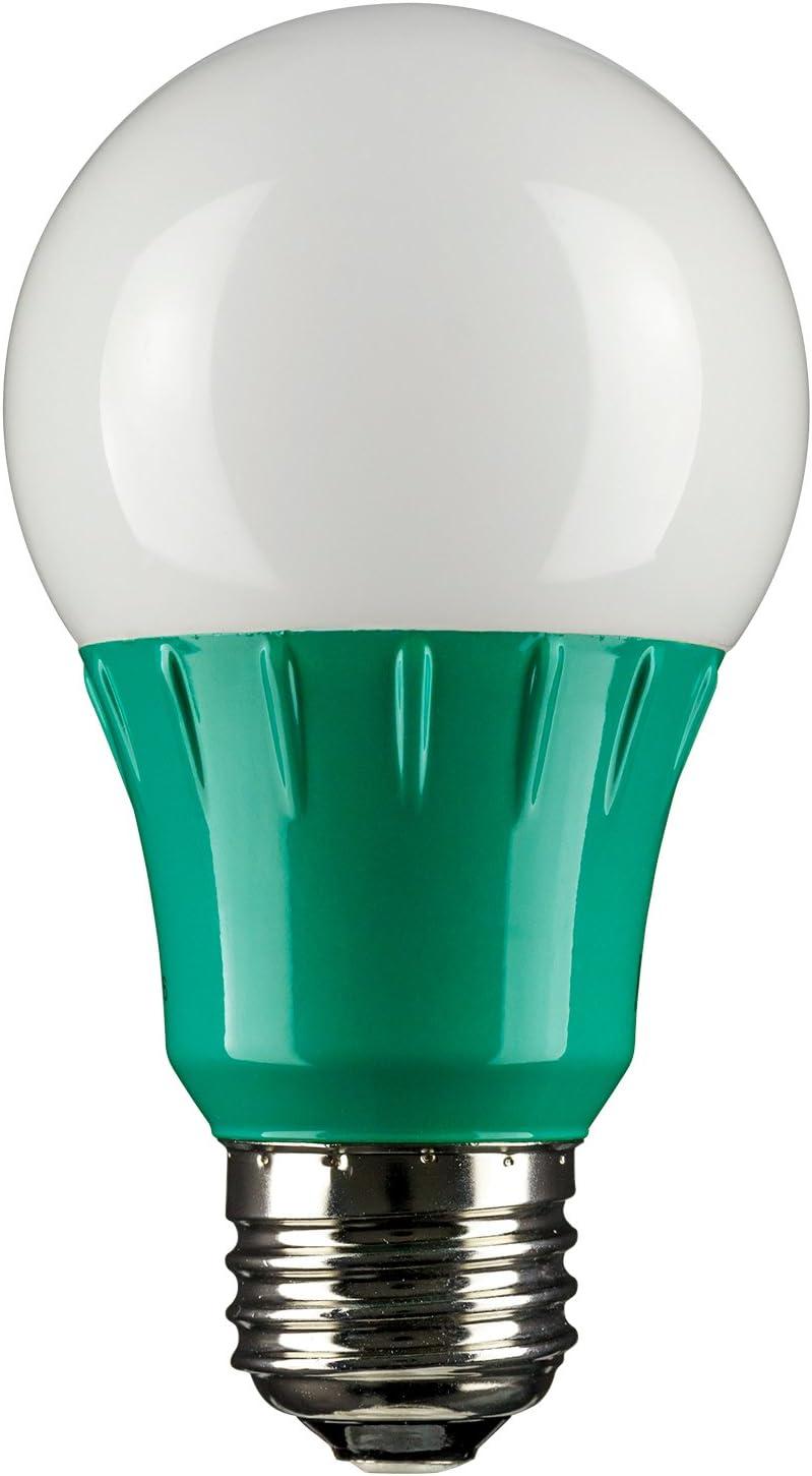 Green Frosted LED A19 Decorative Light Bulb