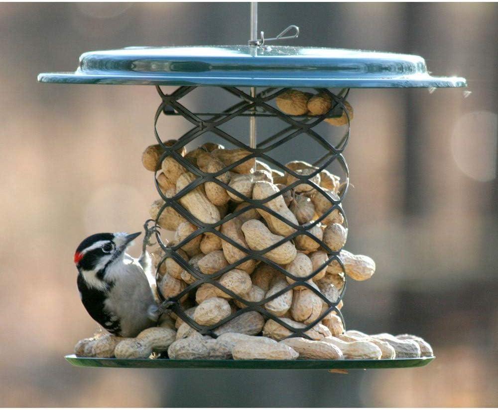 Birds Choice Metal Hanging Tube Bird Feeder
