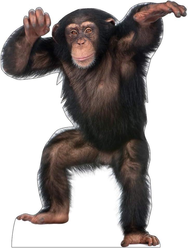 Advanced Graphics 1486 Young Chimpanzee - 42" x 33" Cardboard Standup