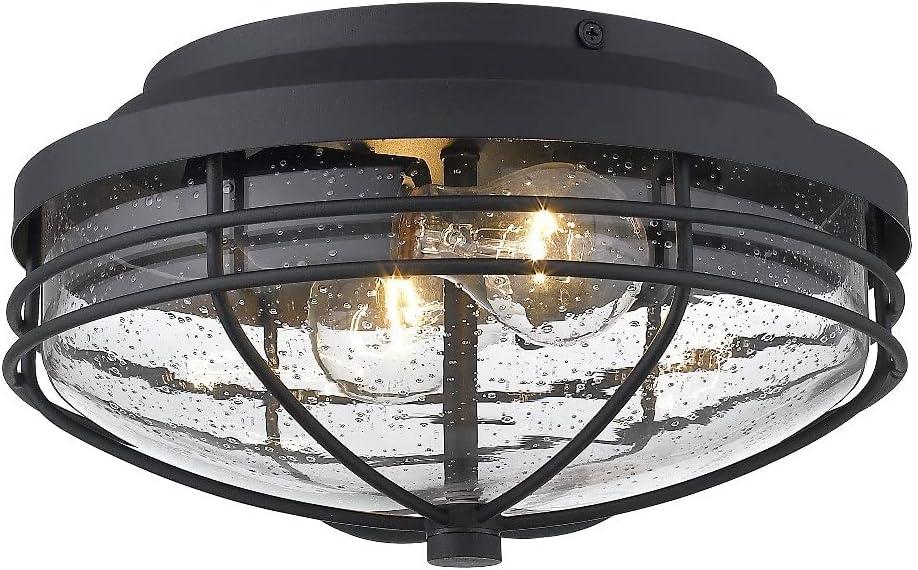 Golden Lighting Seaport 2-Light Outdoor Flush Mount in Natural Black with Seeded Glass