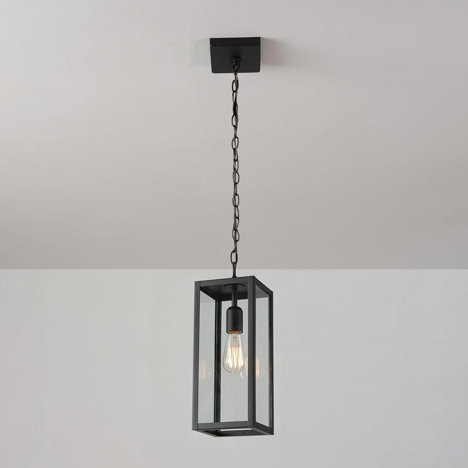 1-Light Matte Black Outdoor Pendant Lighting with Clear Glass Shade