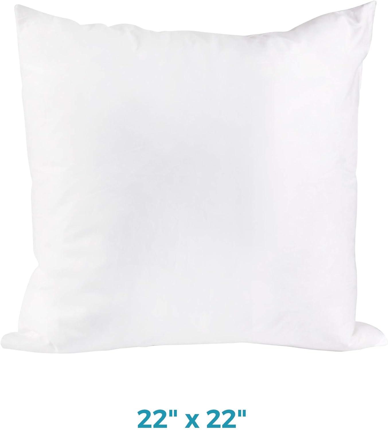 Westex  22 x 22 in. Feather Cushion Insert, White