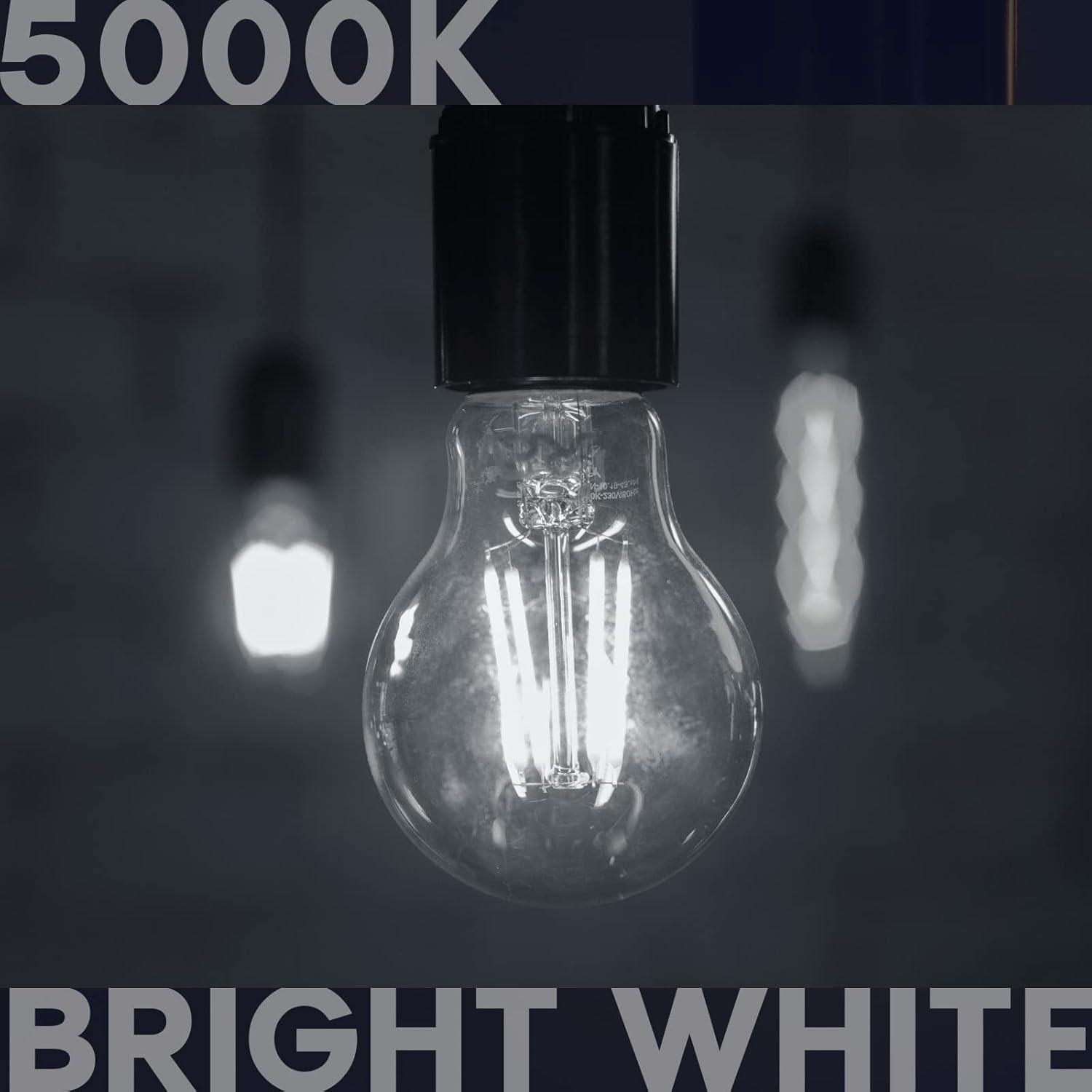 Luxrite Vintage A19 LED Light Bulb 100 Watt Equivalent 1600 Lumens 5000K Bright White Dimmable 12W Damp Rated UL E26 Base 2 Pack