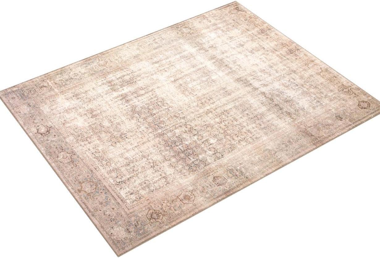 Georgie Oriental Ocean/Sand Area Rug