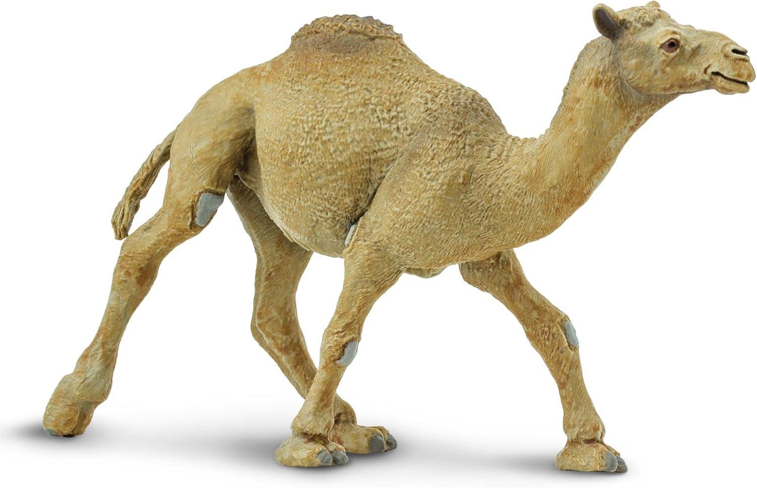 Safari Ltd. Dromedary Camel Figurine - Lifelike 5.75" Model Figure - Educational Toy for Boys, Girls, and Kids Ages 3+