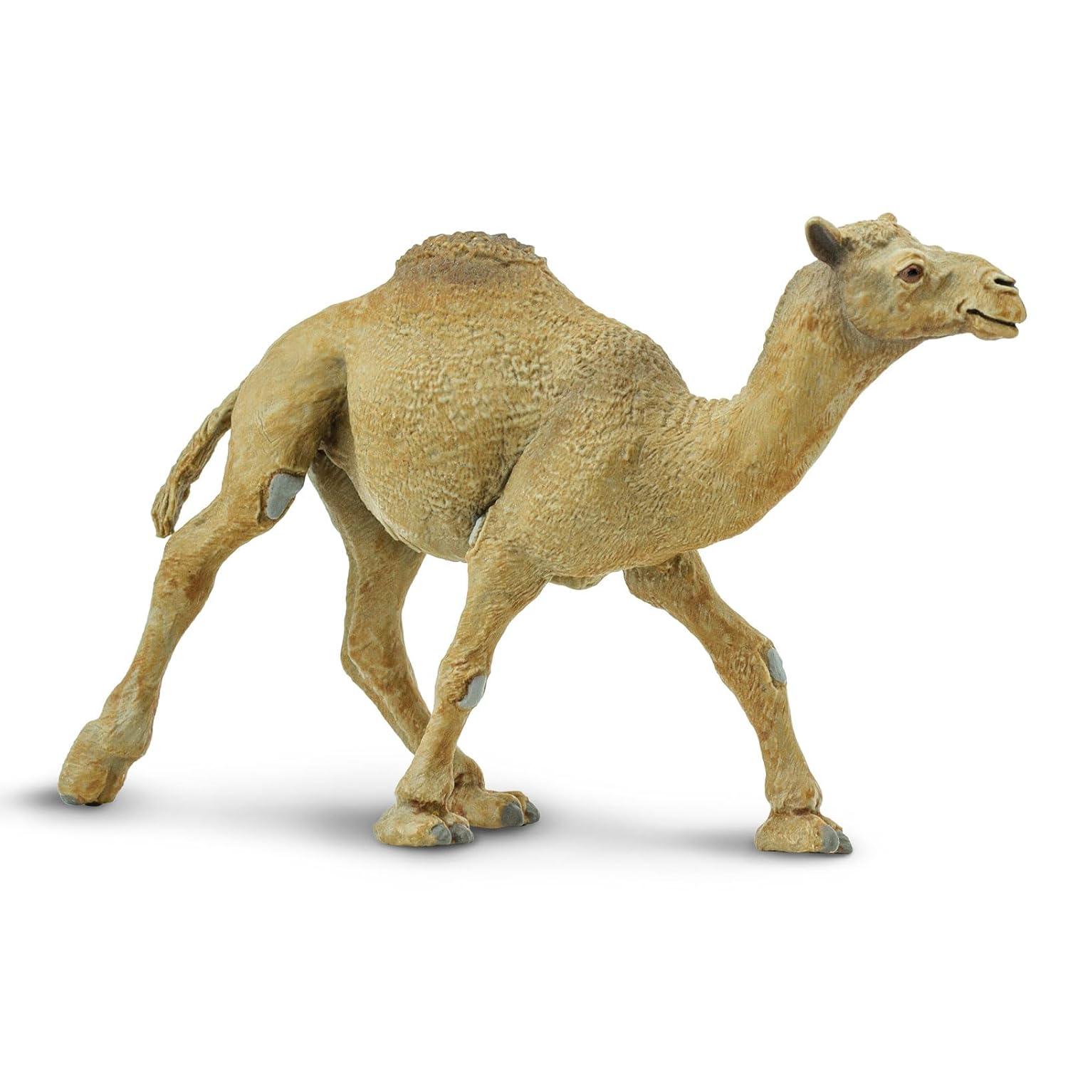 Safari Ltd. Dromedary Camel Figurine - Lifelike 5.75" Model Figure - Educational Toy for Boys, Girls, and Kids Ages 3+