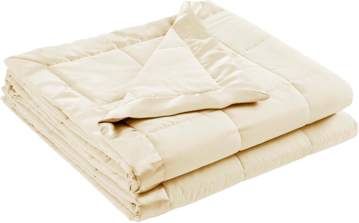 Madison Park Lightweight Down Alternative Blanket with Satin Trim