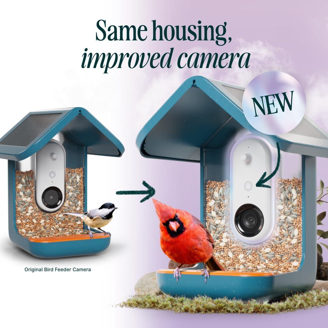 Bird Buddy Smart Bird Feeder with Camera and Solar Roof: Weather-Resistant, Hanging or Pole Mount
