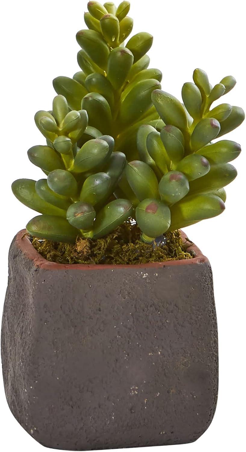 Set of Three Green Faux Succulent Plants in Ceramic Pots