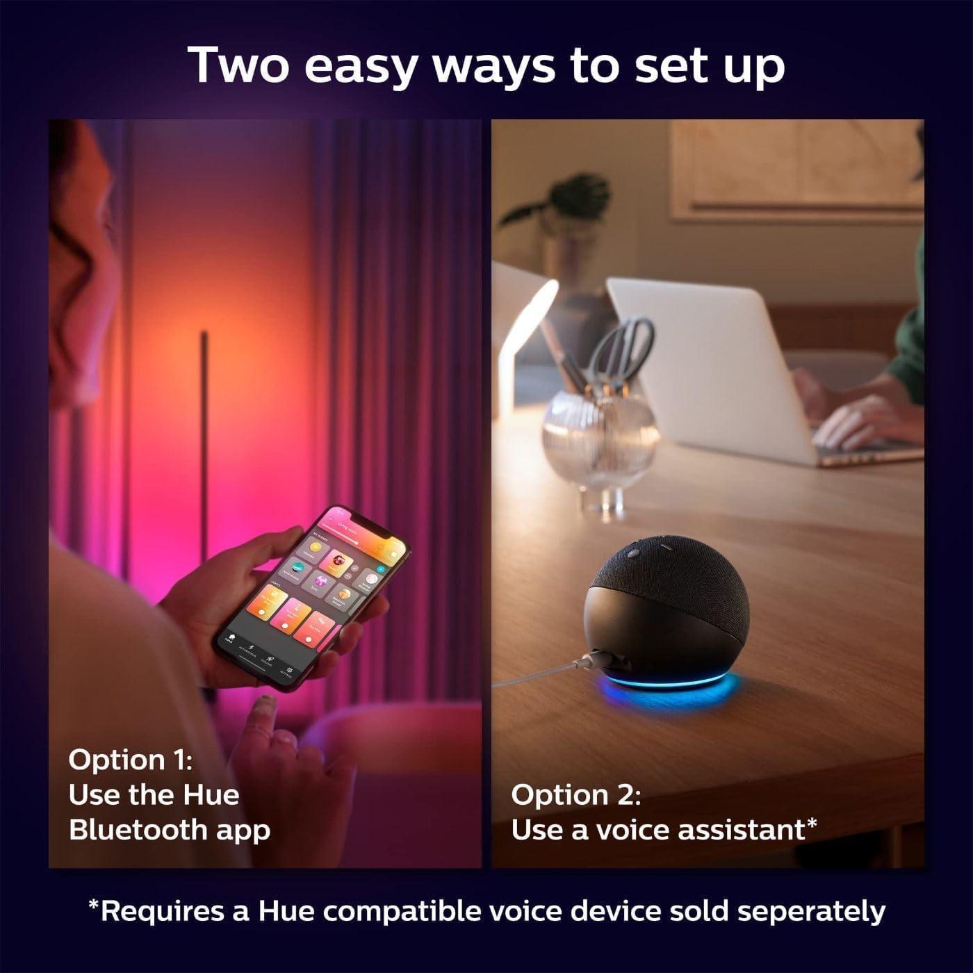Philips Hue Gradient Signe Floor Lamp in Black Color
