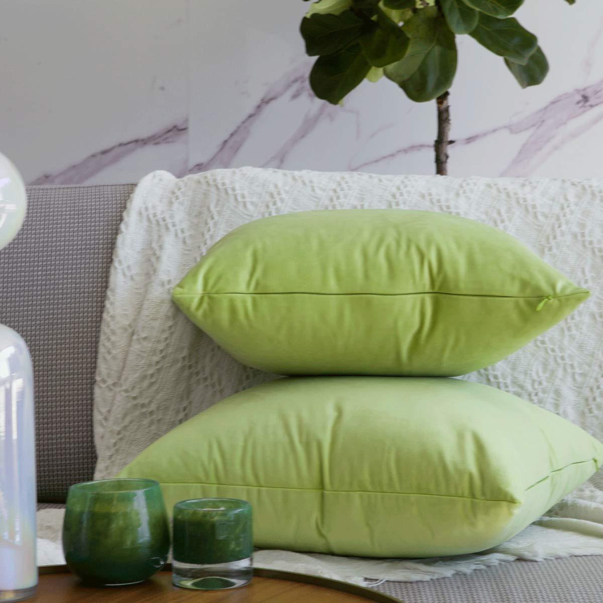 Cterwk Pack of 2 Velvet Decorative Throw Pillow Covers Soft Solid Square Cushion Cover Pillow for Living Room, Bedroom, Office, 20 x 20 inches