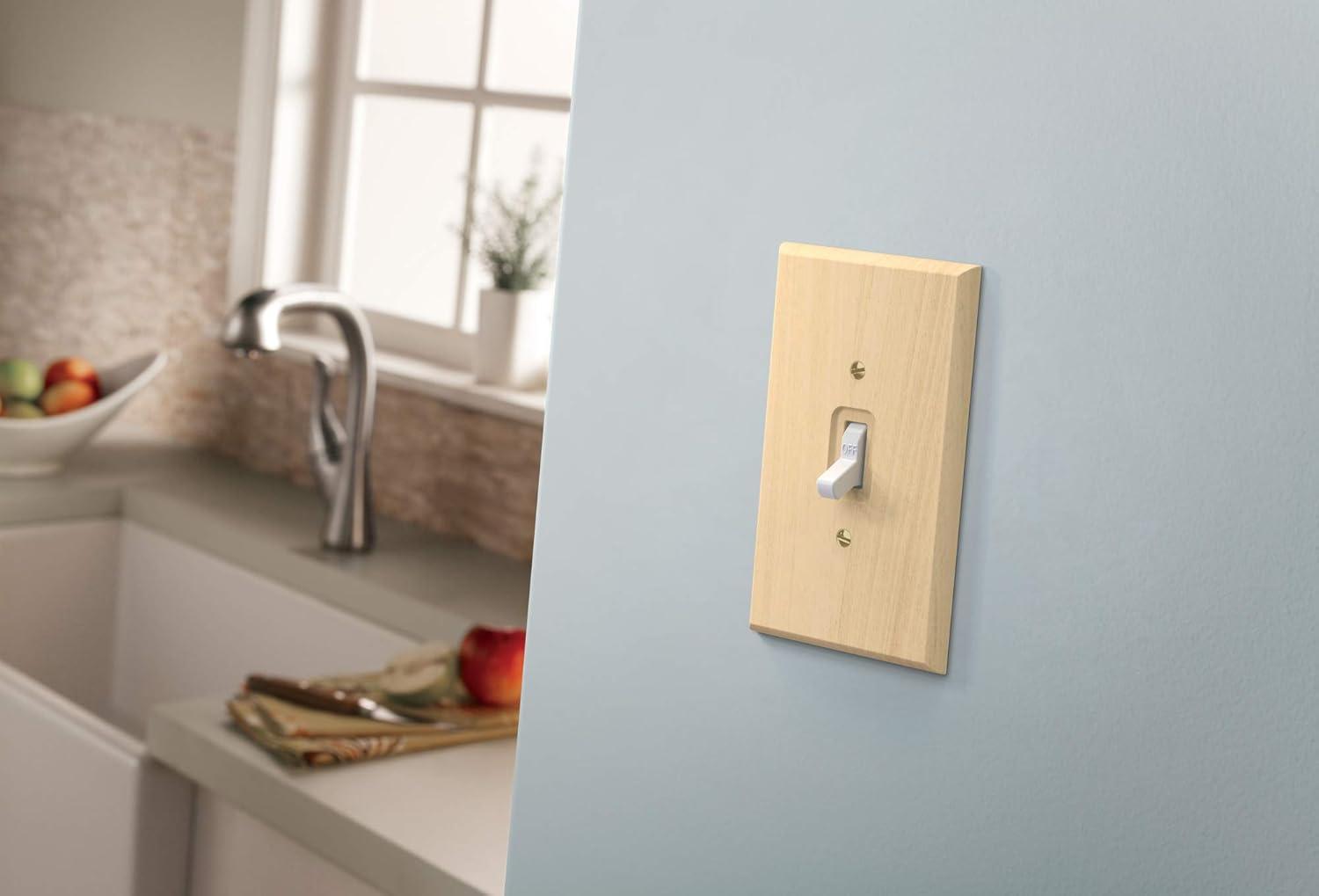 Blank Wall Plate