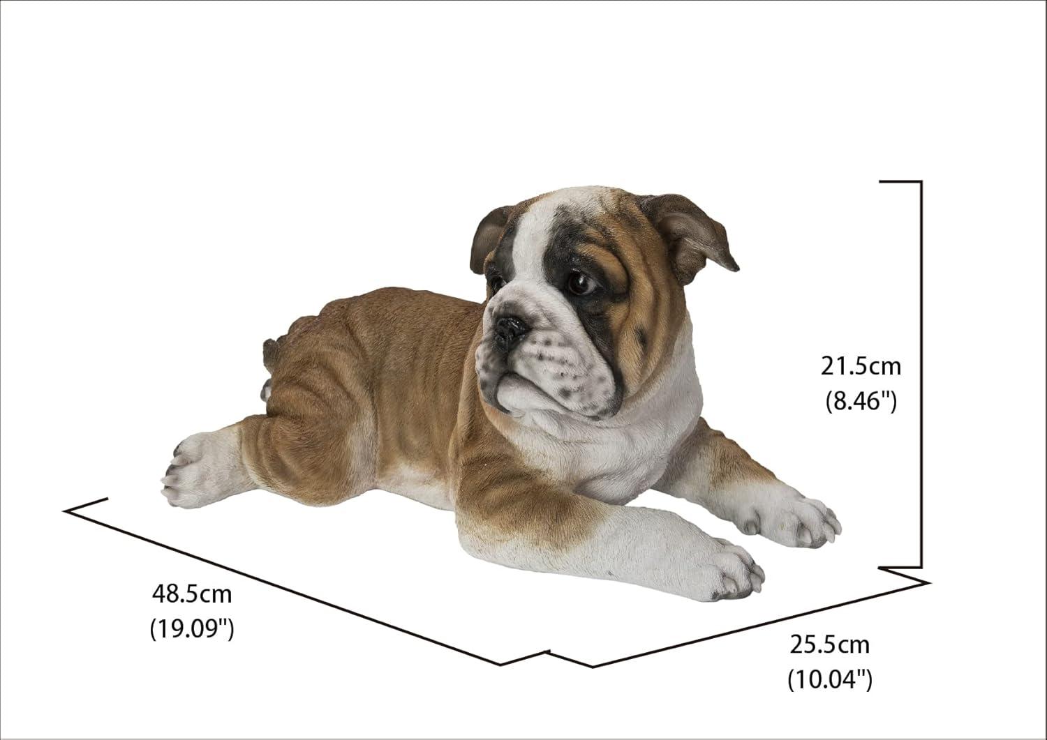 Realistic Brown and White Resin Bulldog Pup Statue