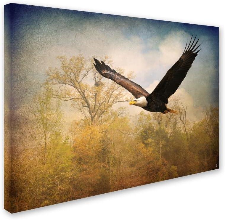 Monarch of the Skies Bald Eagle Canvas Art 32x24