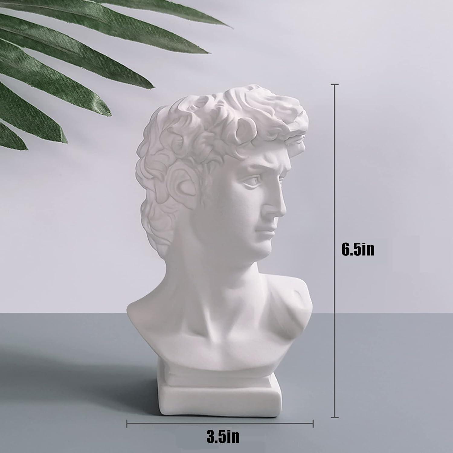 Head Vase, Hosrnovo Greek Statue Decor David Heads Planter for Garden and Home, Roman Style Vintage White Flowers Bowl Creative Housewarming Gift 6.5X3.5Inches (White Medium)