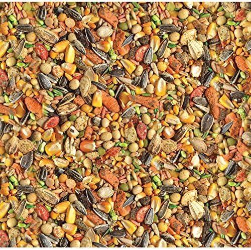 Wild Harvest Parrot Advanced Nutrition Diet Dry Bird Food, 8 lbs