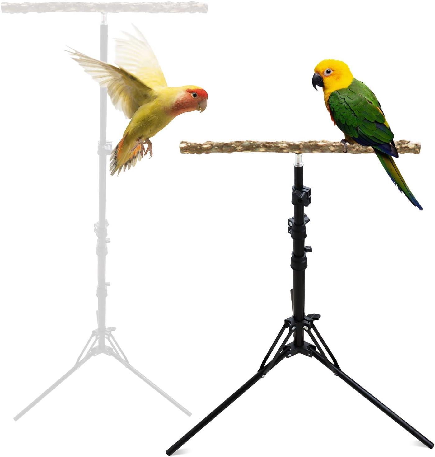 ZY16-63 Inch Height Adjustable Bird Perch Stand, Natural Pepper Wood Parrot Perch Toy, Bird Training Perch Stand, Indoor and Outdoor Bird Stands for Small to Medium Bird-1008