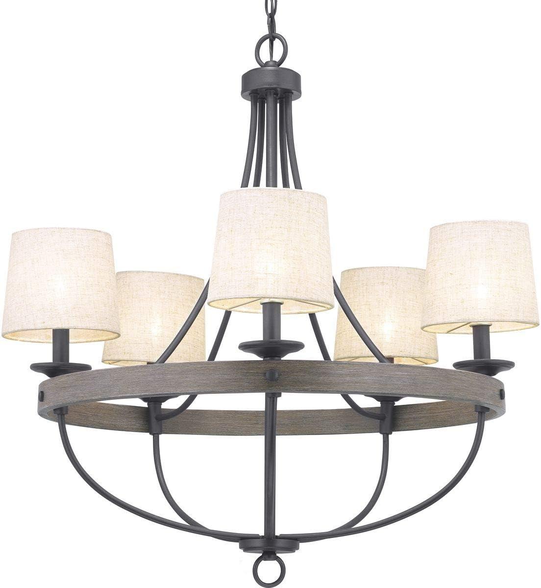 Progress Lighting Gulliver 5-Light Chandelier, Graphite Finish, Wood Grained Texture Shade
