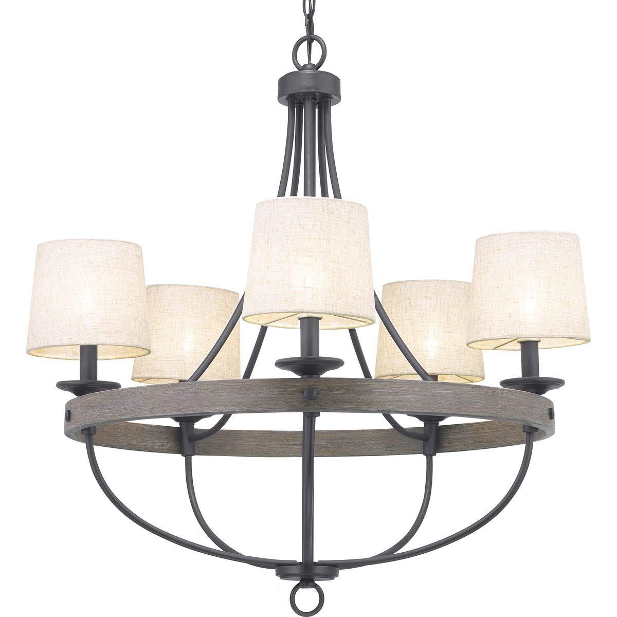 Progress Lighting Gulliver 5-Light Chandelier, Graphite Finish, Wood Grained Texture Shade