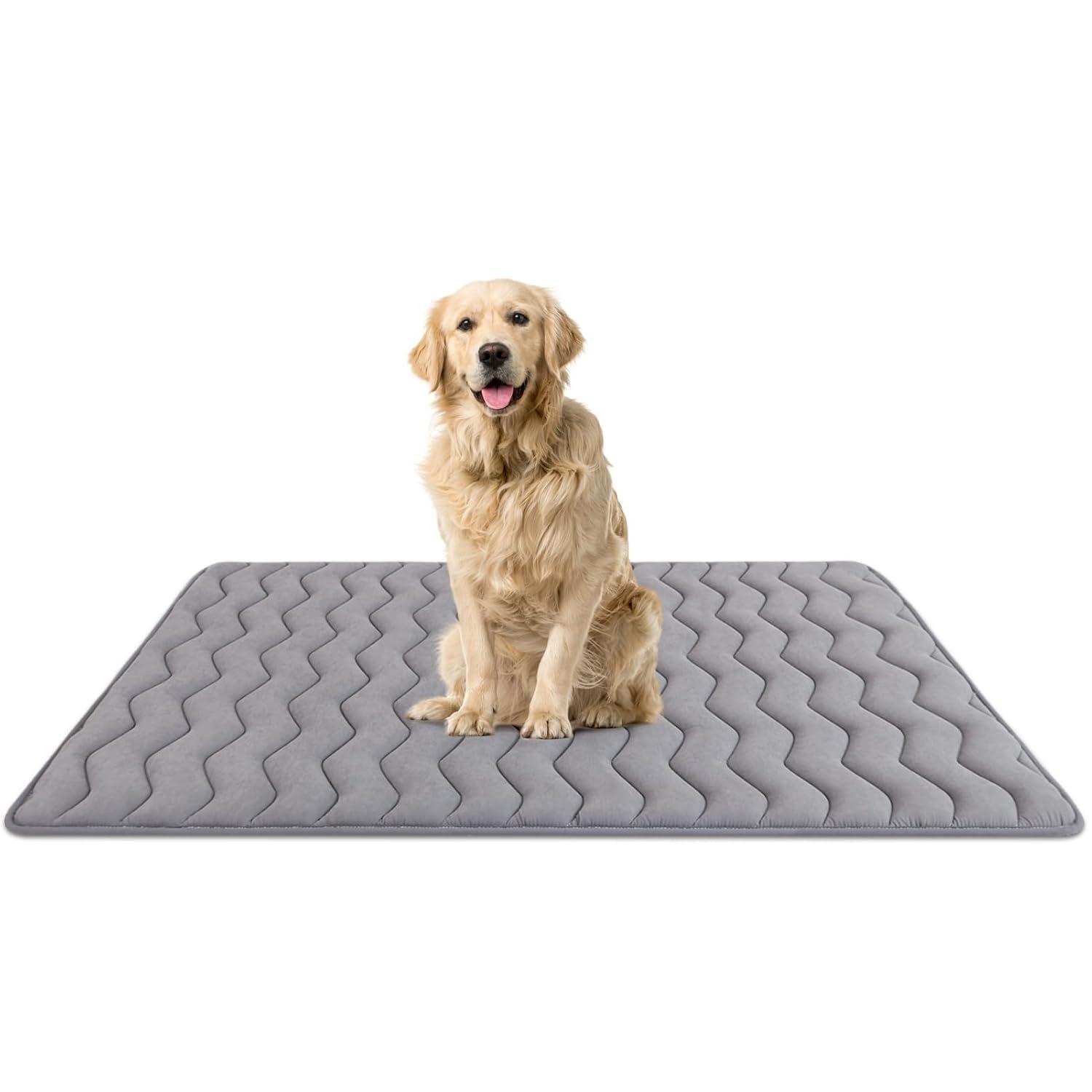 Paw Inspired Washable Padded 42" Crate Mats for Dogs | 41" x 28" Size, Fits 42-inch Kennels | Anti-Slip, Leakproof, Waterproof, Reusable Plush Pet Pads (Gray)