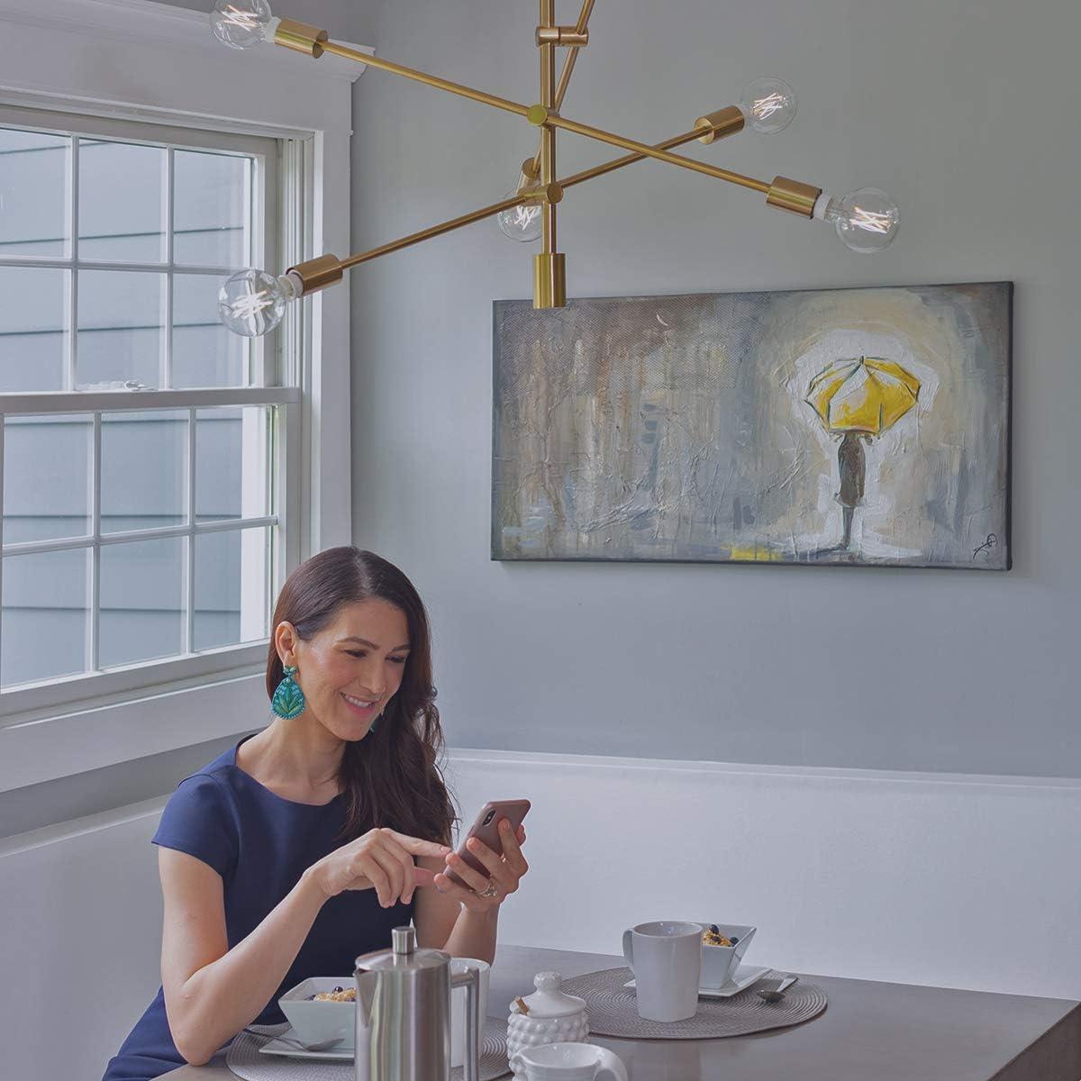Solana G25 WiFi Connected Edison Filament LED Smart Light Bulb