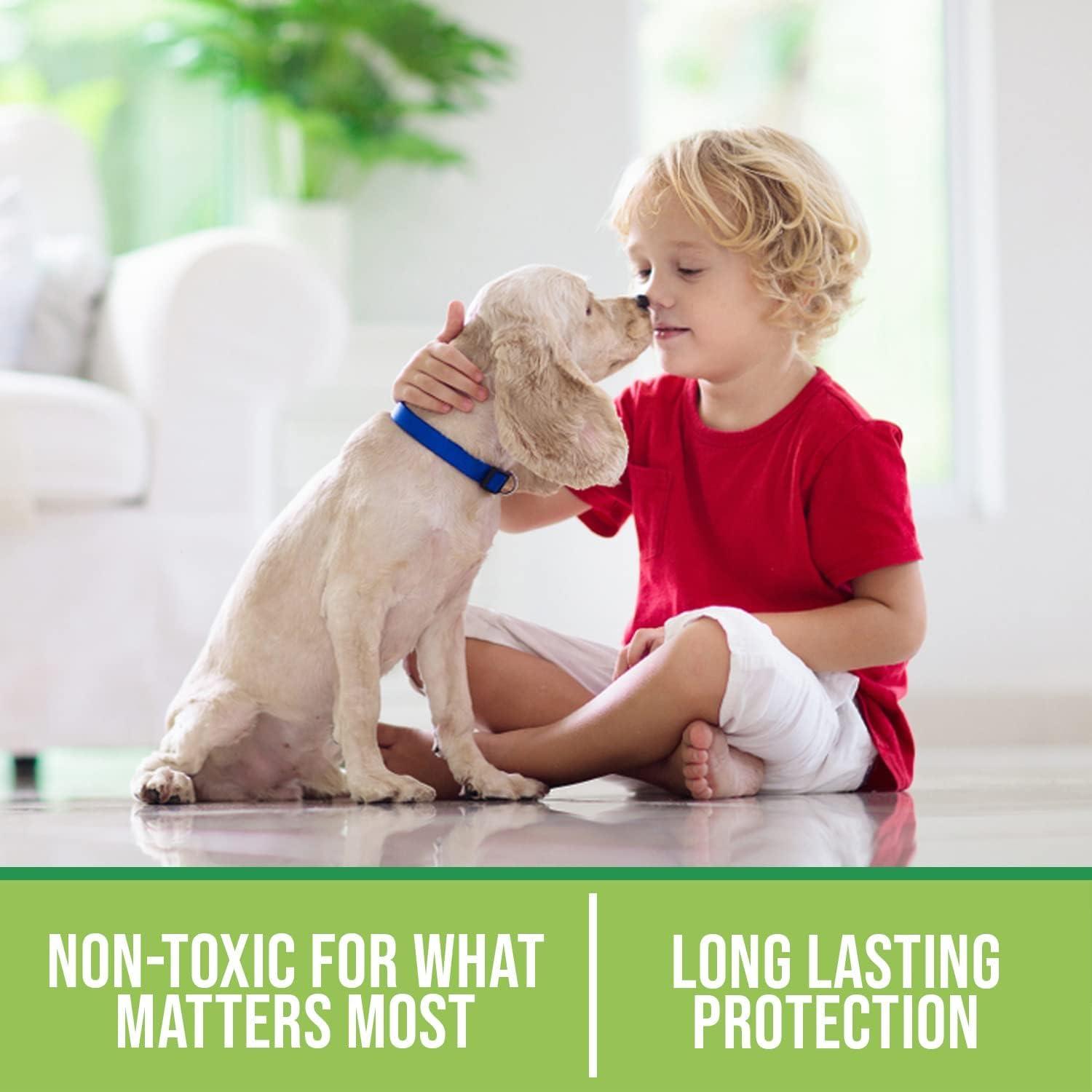 Seal It Green Grout, Granite, Stone, And Tile Sealer - Eco Friendly Deep Penetrating Protectant-No More Mold, Mildew Or Food Stains.
