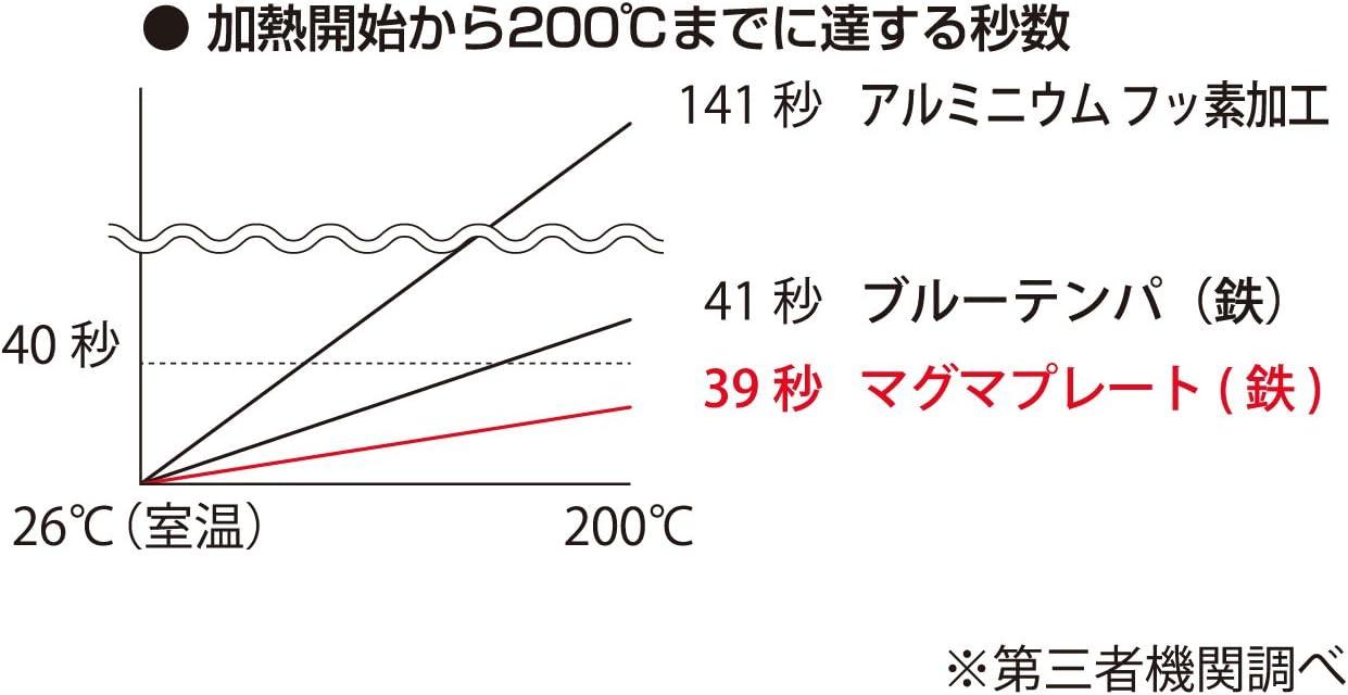 TAKUMI JAPAN Magma Plate Iron Frying Pan 20cm