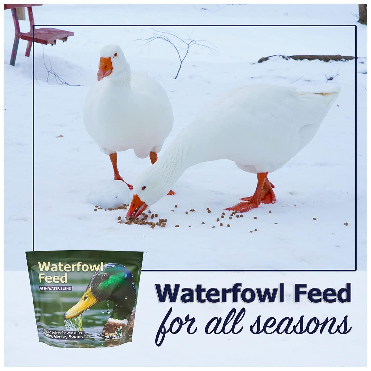 Natural Waterscapes Waterfowl Feed Open Water Diet 40 lb | for Feeding Ducks Geese Swans | Floating Pellets with Niacin for Ducks