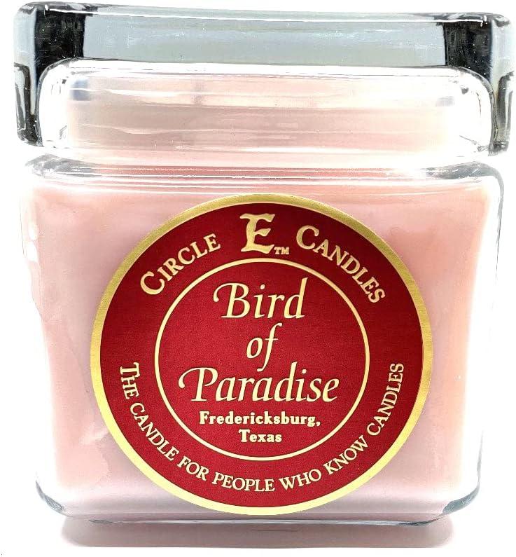 Circle E Candles, Bird of Paradise Scent, Large Size Jar Candle, 32oz, 2 Wicks