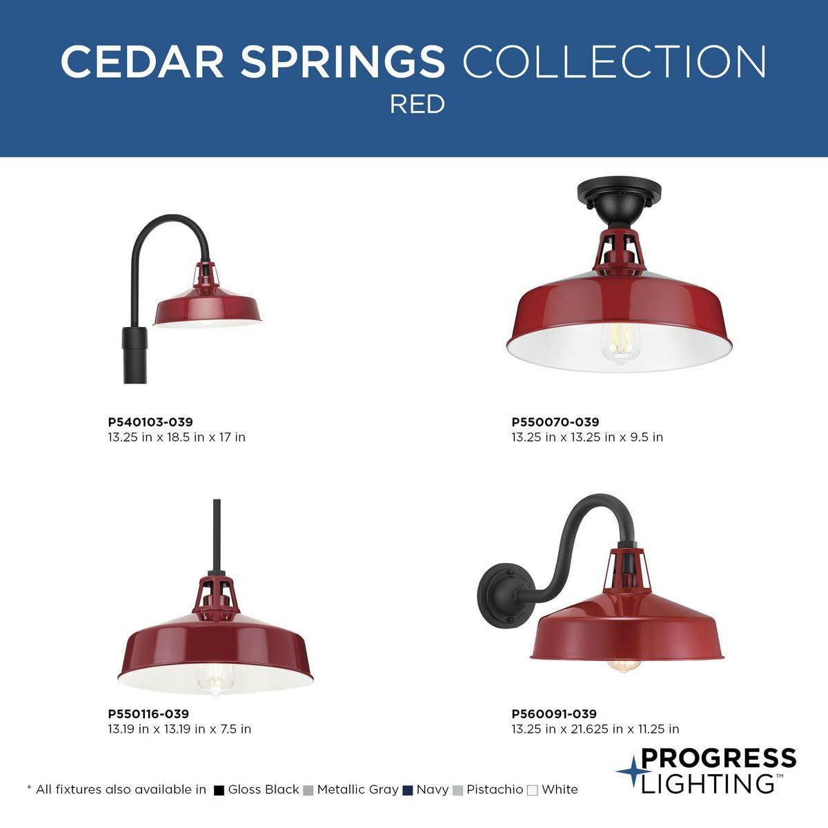 Progress Lighting, Cedar Springs, 1-Light Ceiling Light, Red Finish, White Shade