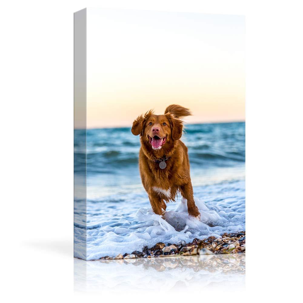 NWT Custom Canvas Prints with Your Photos for Pet/Animal, Personalized Pictures to Canvas for Wall Framed 10x8 inches