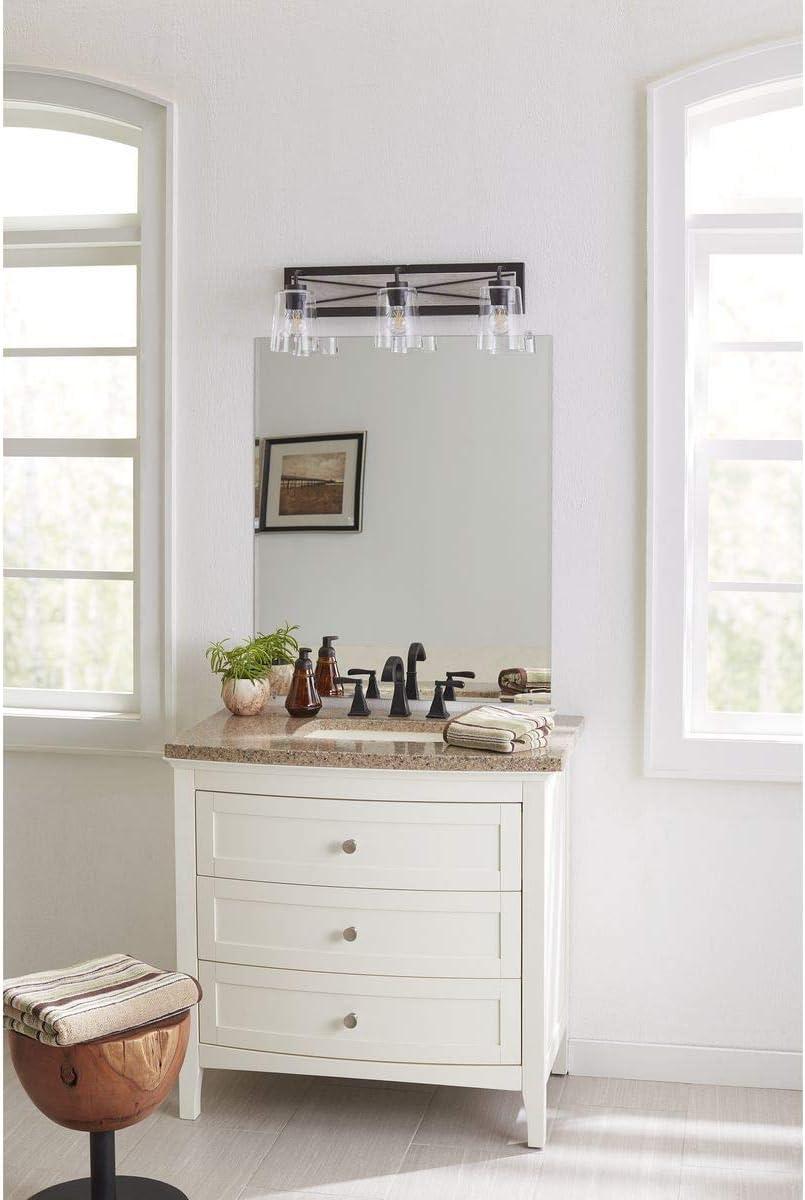 Briarwood 3-Light Graphite and Clear Glass Bath Vanity Fixture