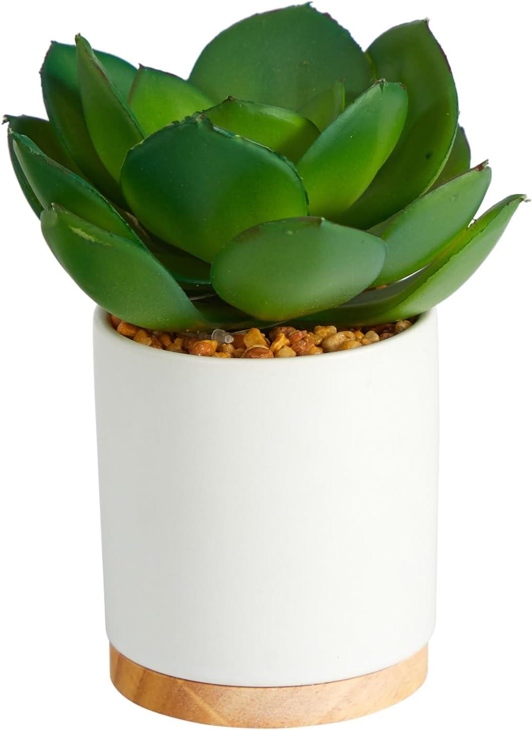 Nearly Natural 6-in Succulent Artificial Plant in White Ceramic Planter