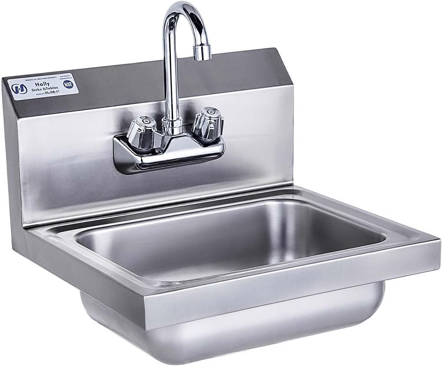 Hally 17'' Stainless Steel Wall Mount Hand Sink with Faucet