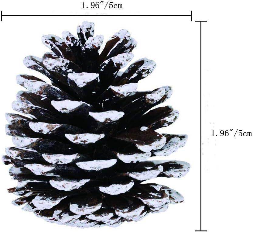 Yahpetes 12 Pcs Christmas Pine Cones 1.96" Snow Tipped Natural Pine Cone Decorations Christmas Rustic Pinecone Ornaments for Decorating and Designing(12 pcs)