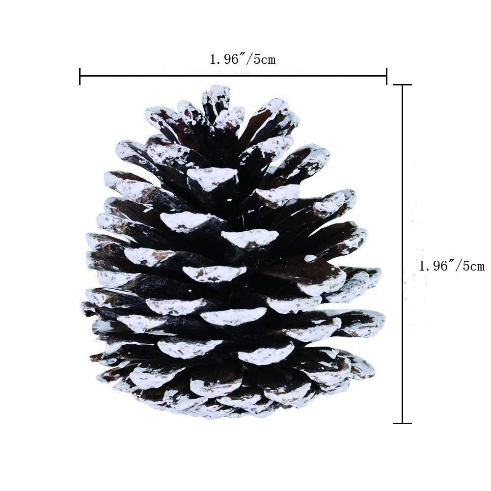Yahpetes 12 Pcs Christmas Pine Cones 1.96" Snow Tipped Natural Pine Cone Decorations Christmas Rustic Pinecone Ornaments for Decorating and Designing(12 pcs)