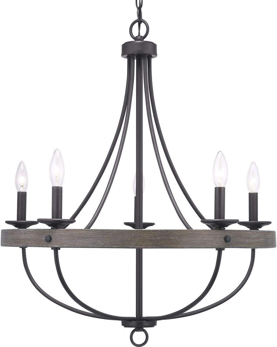 Progress Lighting Gulliver 5-Light Chandelier, Graphite Finish, Wood Grained Texture Shade