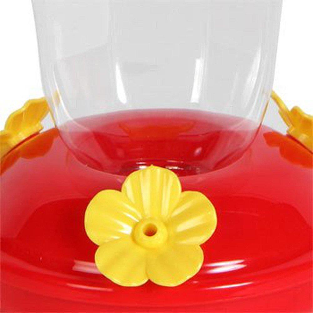 Garden Collection Hanging Hummingbird Feeder, 6¾ Inches