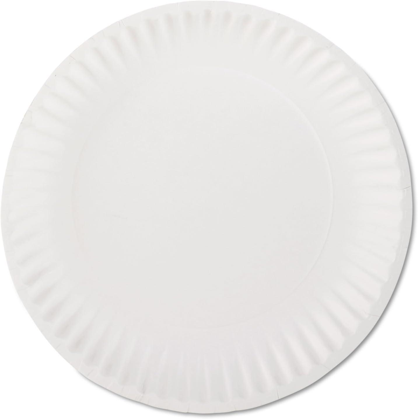 White 9-Inch Uncoated Paper Plates, 100 Count