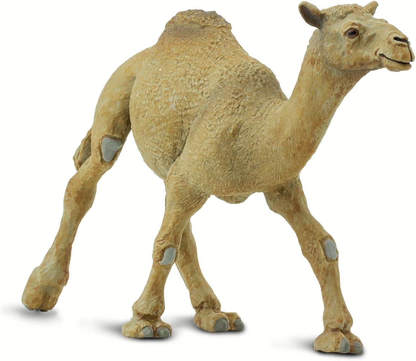 Safari Ltd. Dromedary Camel Figurine - Lifelike 5.75" Model Figure - Educational Toy for Boys, Girls, and Kids Ages 3+