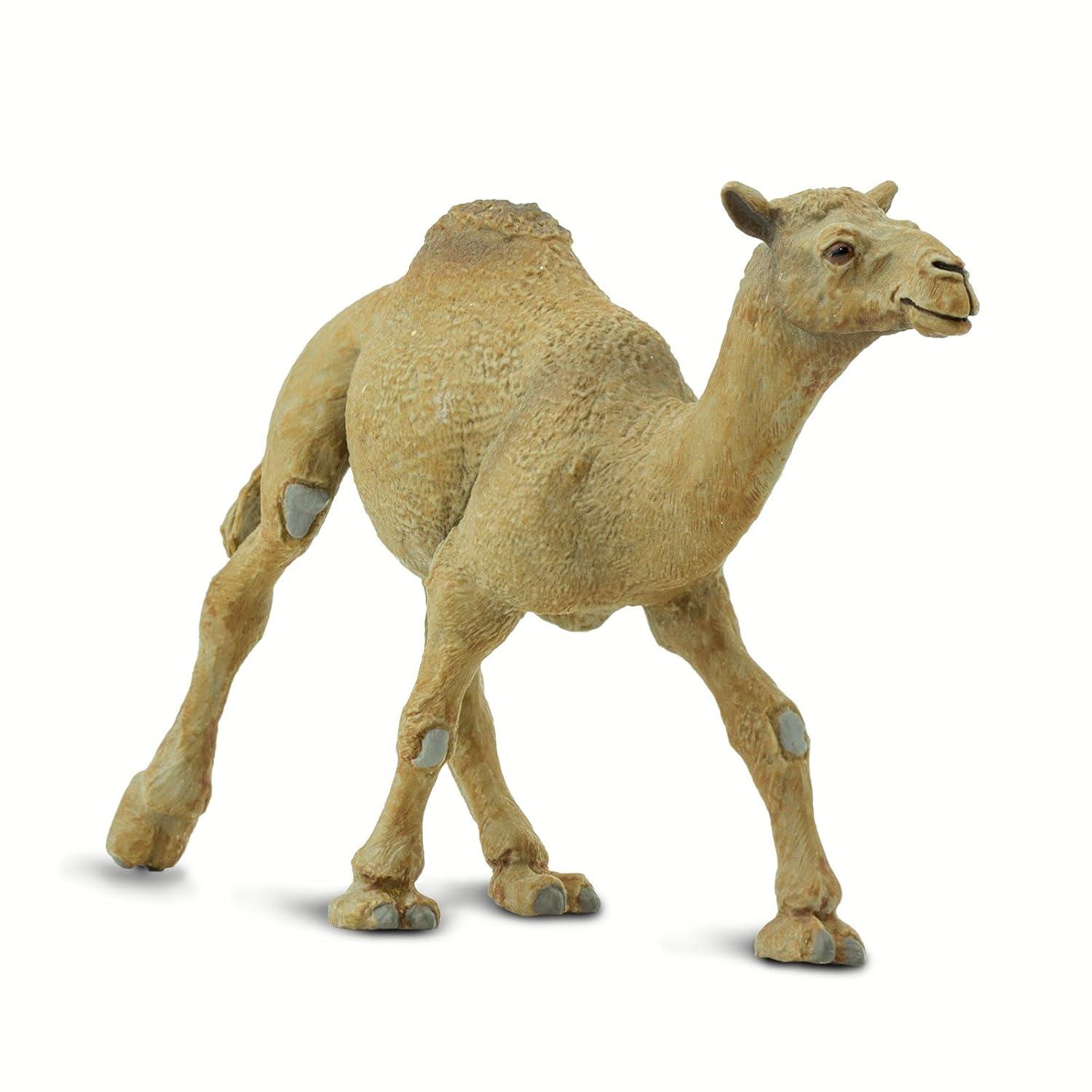 Safari Ltd. Dromedary Camel Figurine - Lifelike 5.75" Model Figure - Educational Toy for Boys, Girls, and Kids Ages 3+
