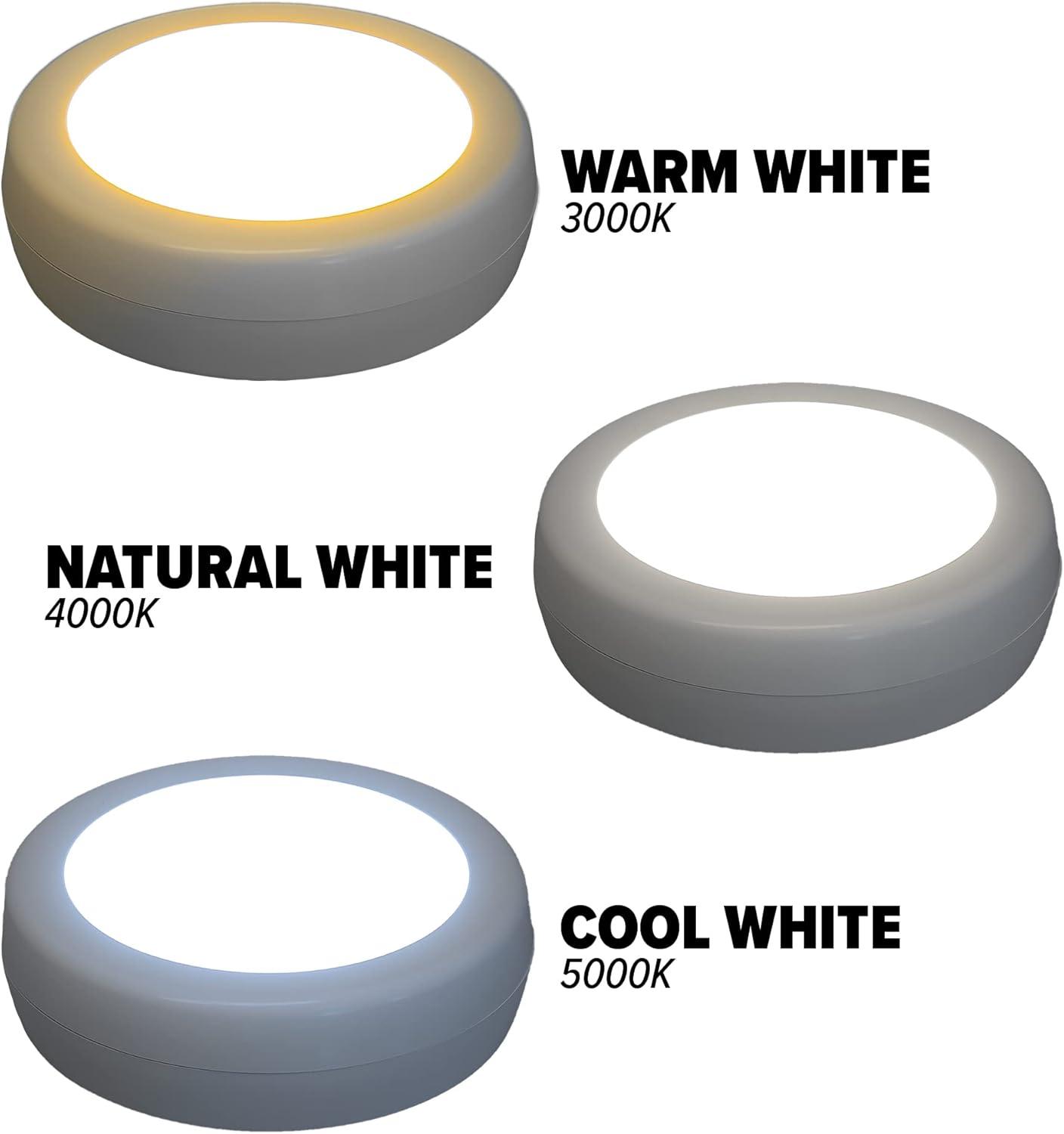 Westek White Battery Powered LED Puck Light 3 pk (BL-PCCT-W3)