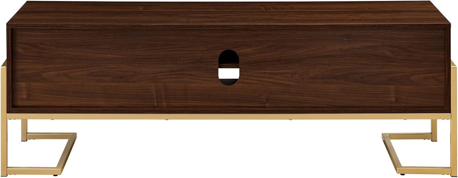 Pemberly Row 60" 2-Drawer Modern Wood Media Console - Dark Walnut