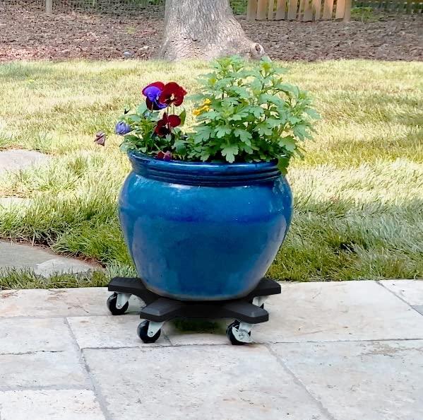 Plantstand Caddy Plant Stand