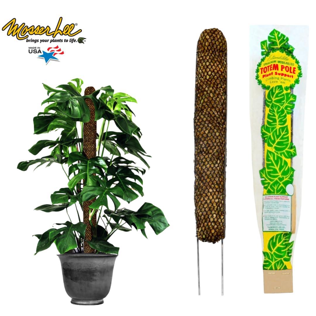 Mosser Lee Sphagnum Moss Pole for Indoor Plants, Monstera Moss Pole, Plant Pole Made in USA - Ideal for Climbing Plants, Enhances Plant Growth & Stability - 30" Height
