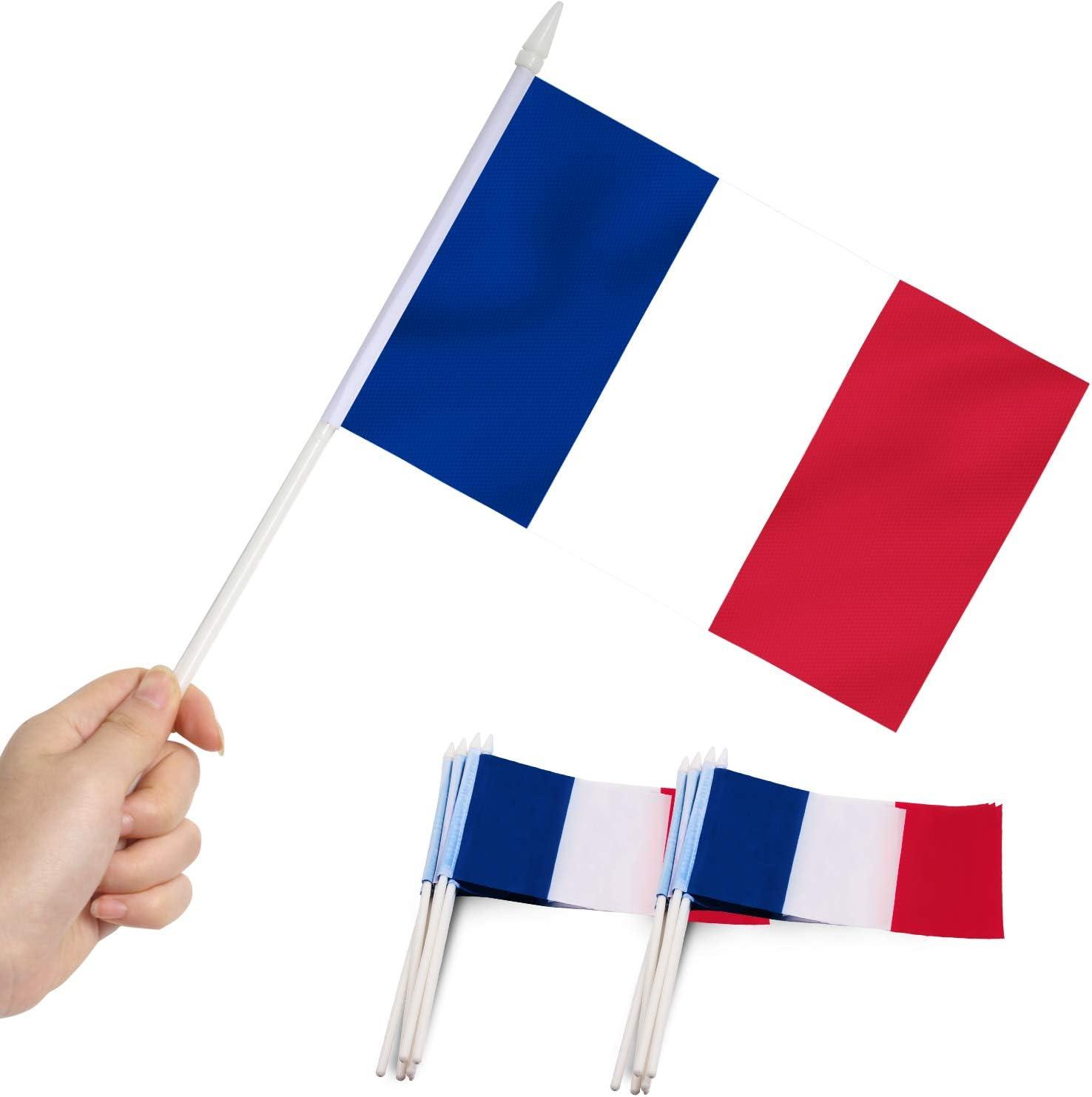 Mini French Flag Set with Plastic Poles, 12 Pack