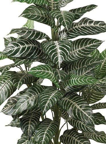 36" x 20" Artificial Zebra Silk Plant in Wicker Pot - Nearly Natural: Indoor Floor Plant Decoration