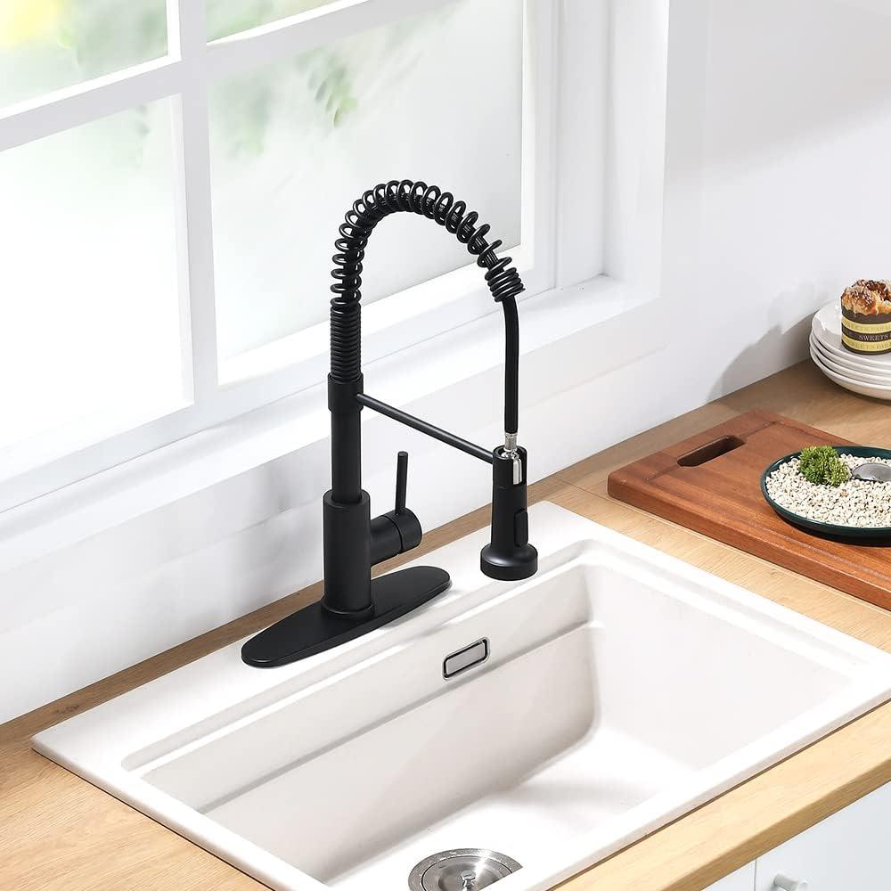 Black Stainless Steel Kitchen Faucet with Pull-out Spray