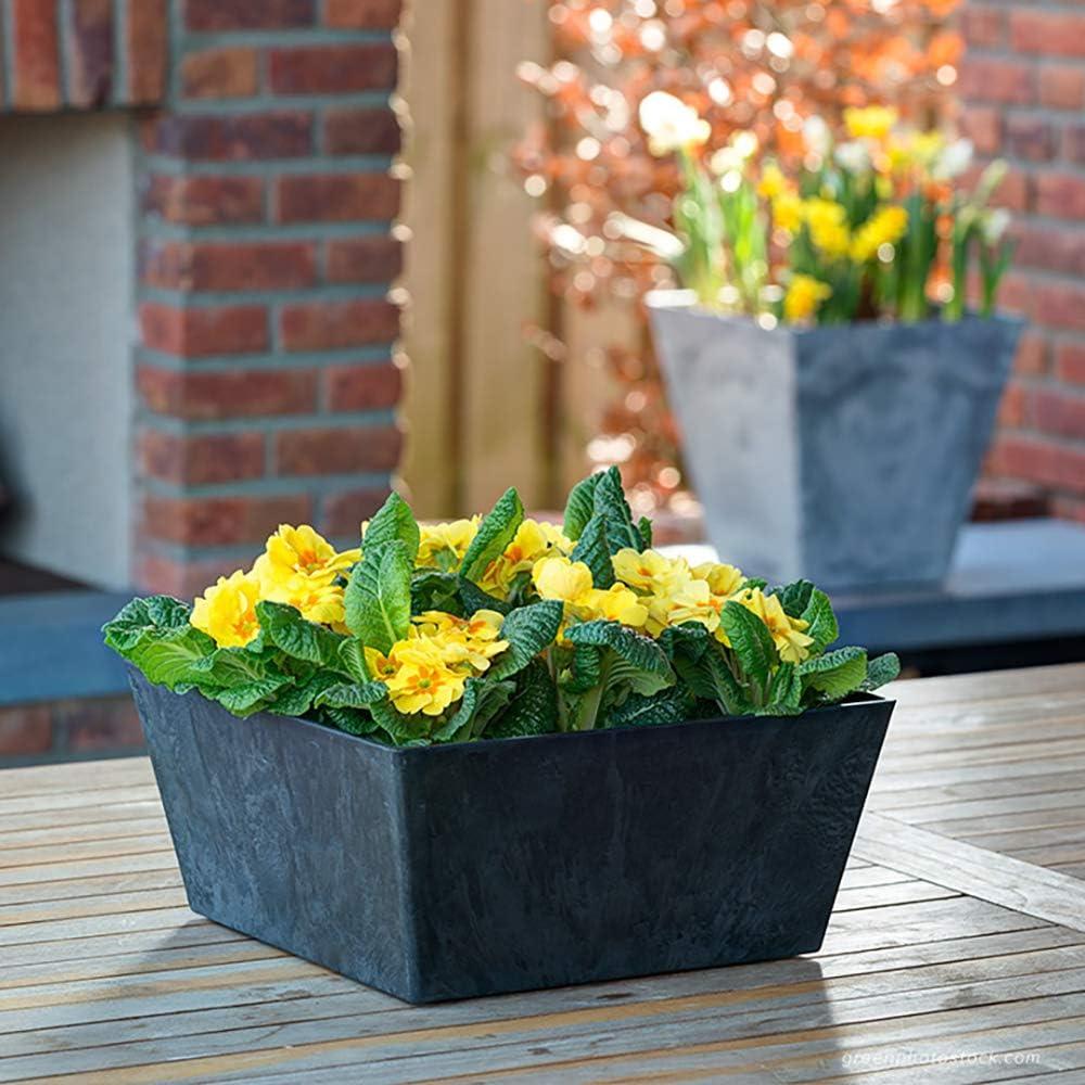 Drevy Ella Low Square Planter, 12-Inch, Black